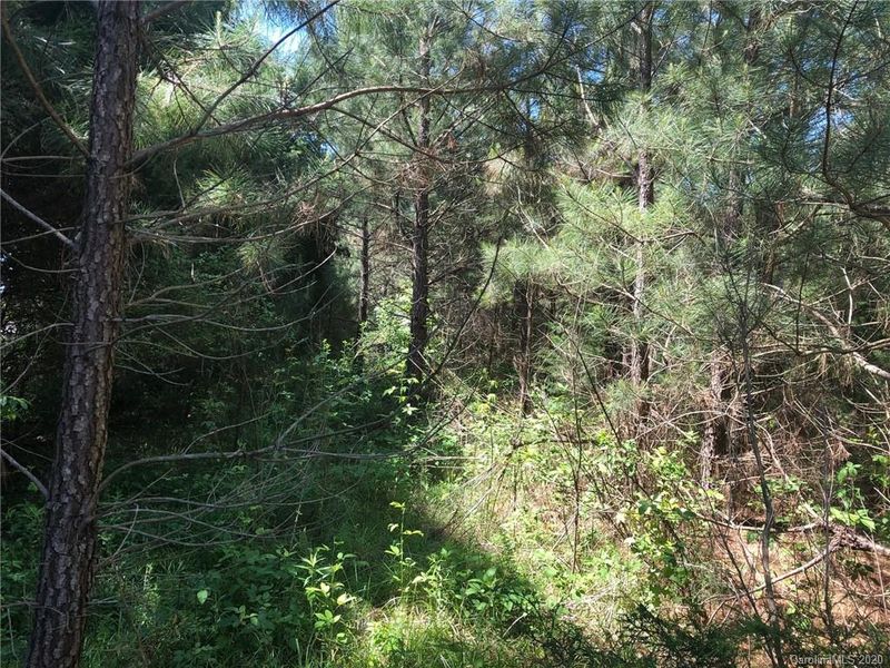 1501 Stinson Rd, Lancaster, SC 29720