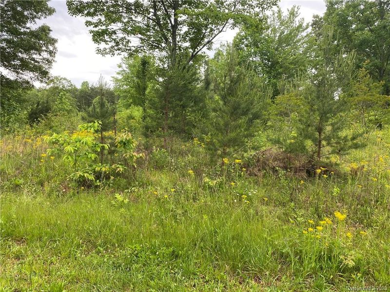 00 Loomis St, Lincolnton, NC 28092