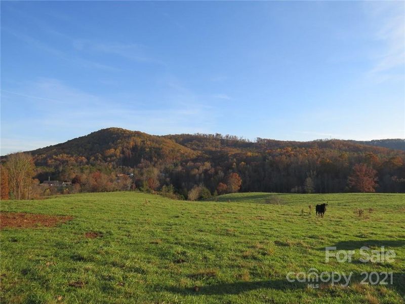 926 Coolbrook Rd, Union Grove, NC 28689