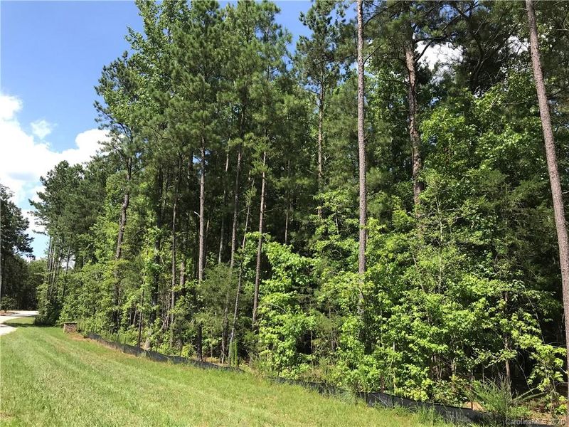 000 Two Sisters Rd #4, Van Wyck, SC 29744