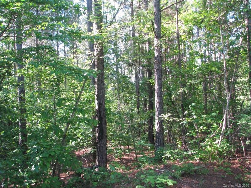 19 Ac Mullinax Cir, Blacksburg, SC 29702