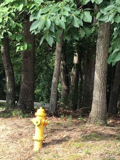 0 Hunting Ave, Lincolnton, NC 28092