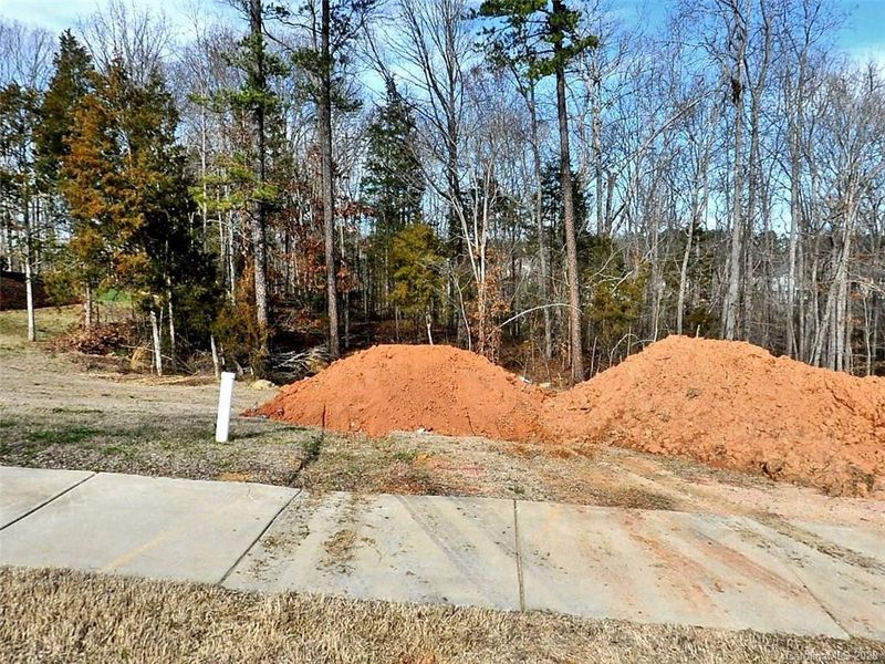 15625 June Washam Rd, Davidson, NC 28036