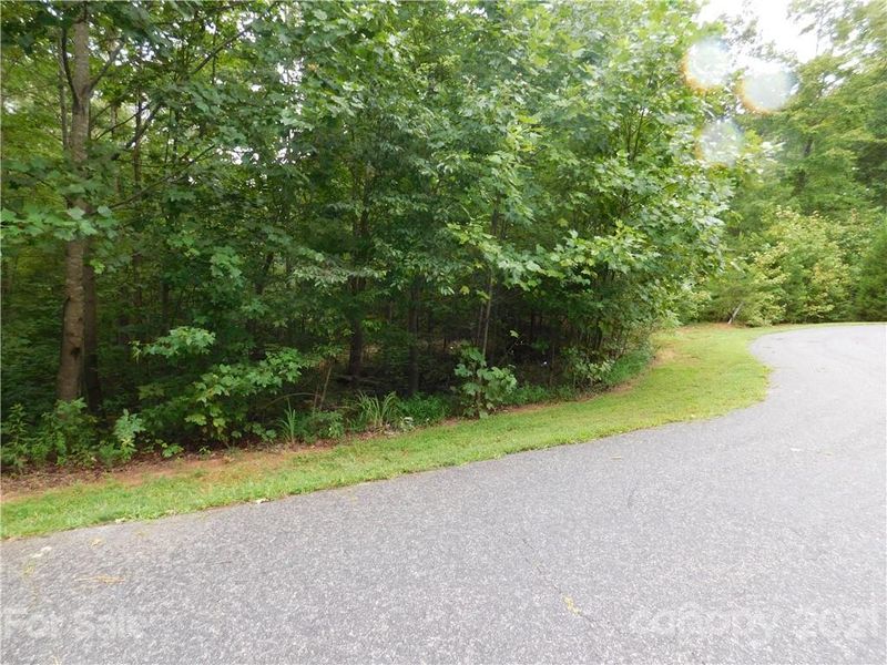 0000 Maple Spring Ct #17, Denver, NC 28037