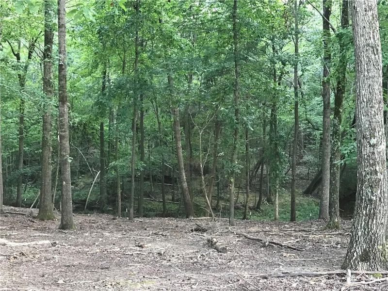 0 Ashe Ln #10, Waxhaw, NC 28173
