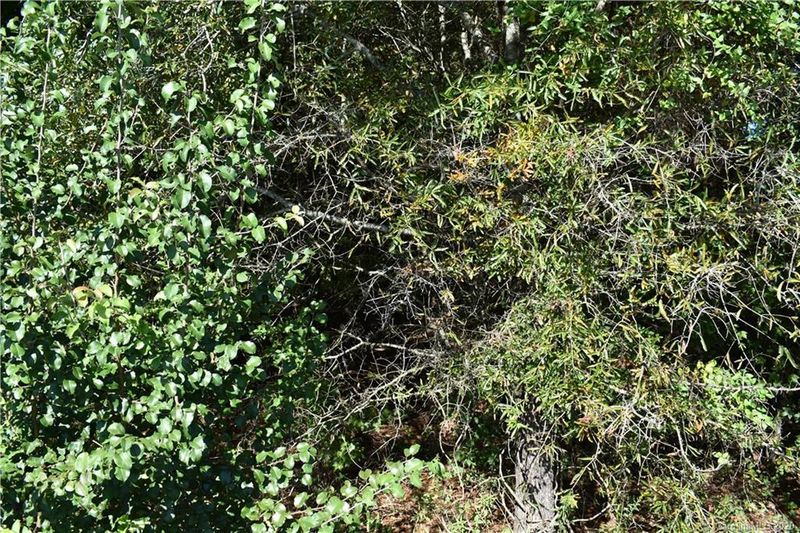 00 Cloninger Rd, Dallas, NC 28034
