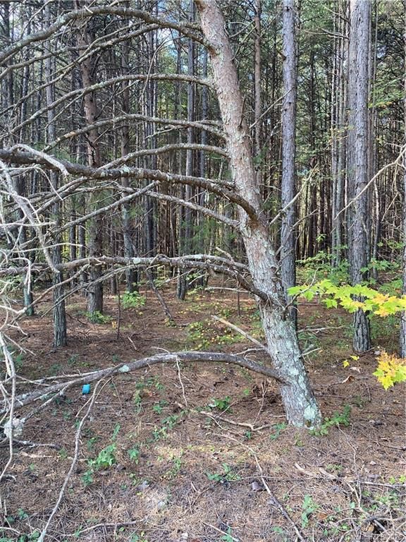 1909 Mollys Backbone Rd #1, Sherrills Ford, NC 28673