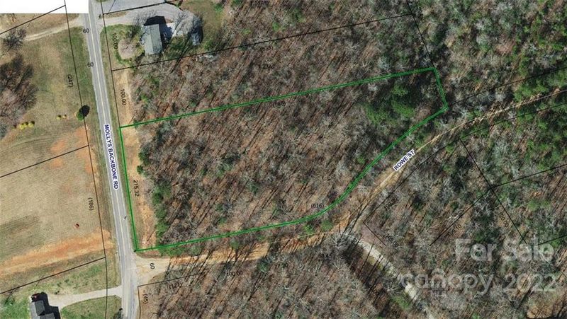 000 Mollys Backbone Rd, Catawba, NC 28609