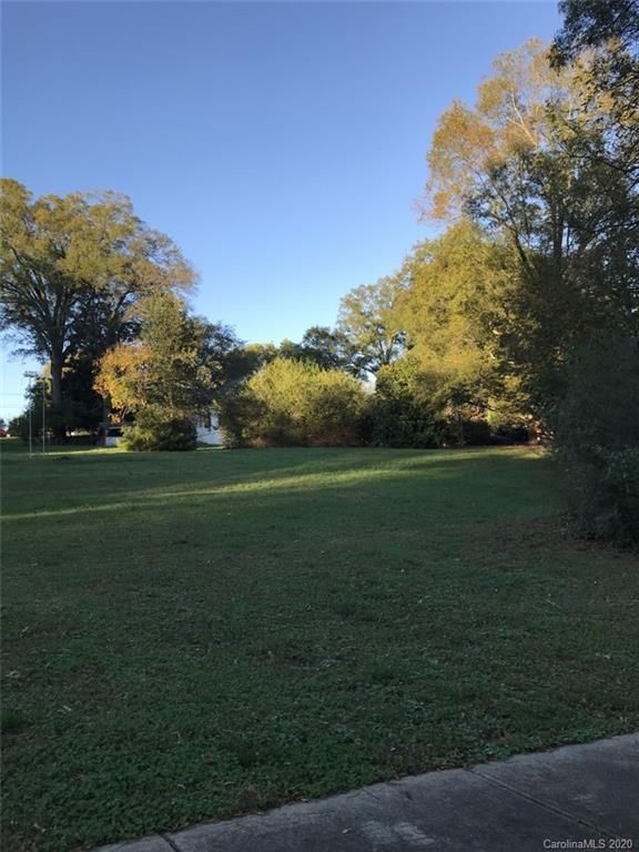 515 Goodrum St, Davidson, NC 28036
