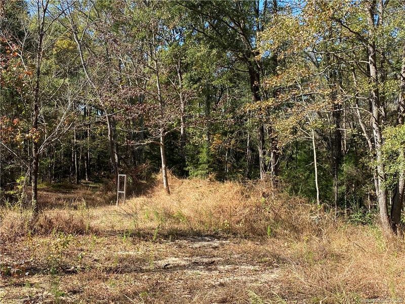 2425 Shiloh Church Rd #3, Davidson, NC 28036
