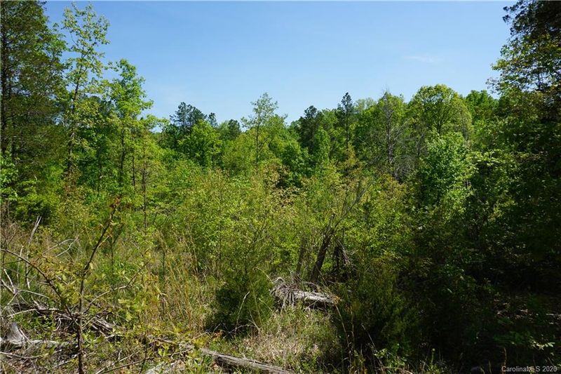 23.5 AC Parson Rd, Mcconnells, SC 29726
