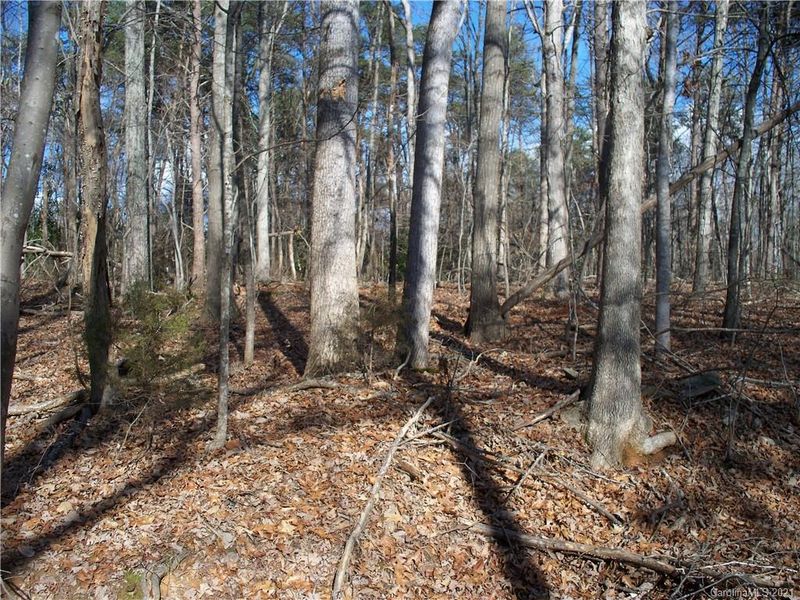 0 Nottingham Rd #3, Lincolnton, NC 28092