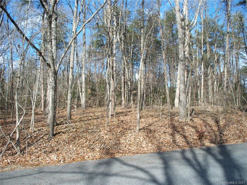 0 Nottingham Rd #2, Lincolnton, NC 28092