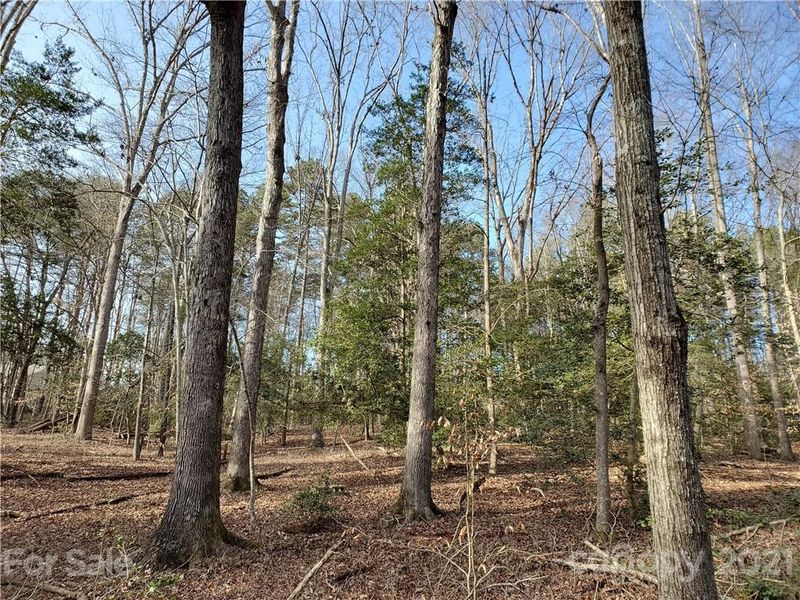 8281 Monbo Rd, Catawba, NC 28609