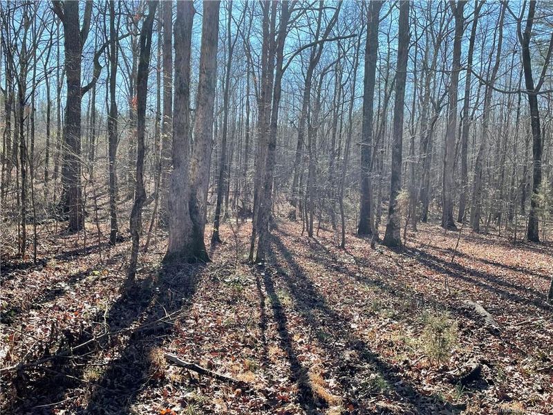 5151 Gold Hill Rd E, Gold Hill, NC 28071