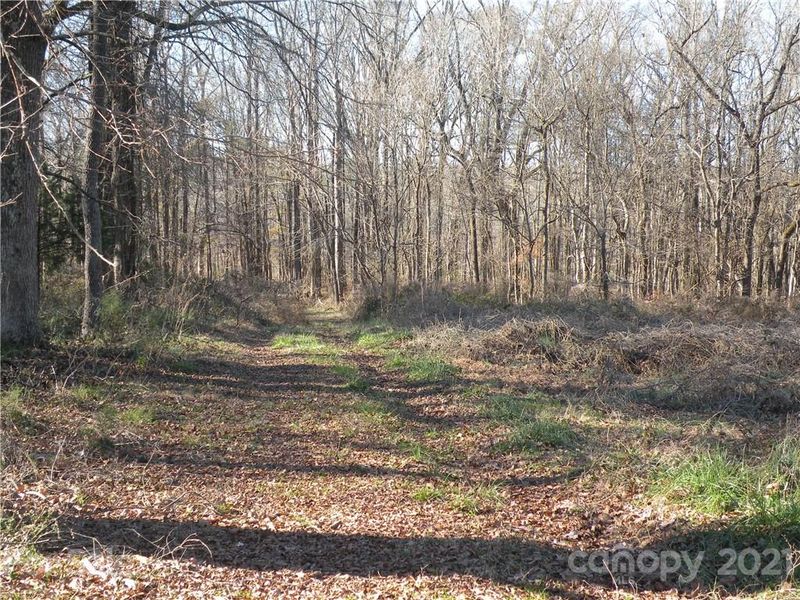 1177 Parris Rd, Rock Hill, SC 29732
