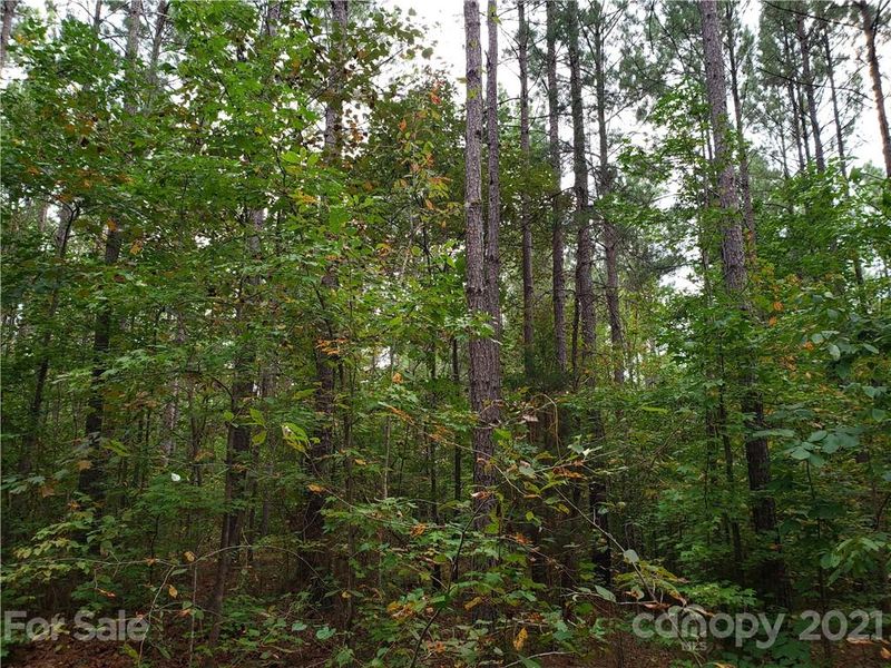00 Mosley Rd #4, Blacksburg, SC 29702