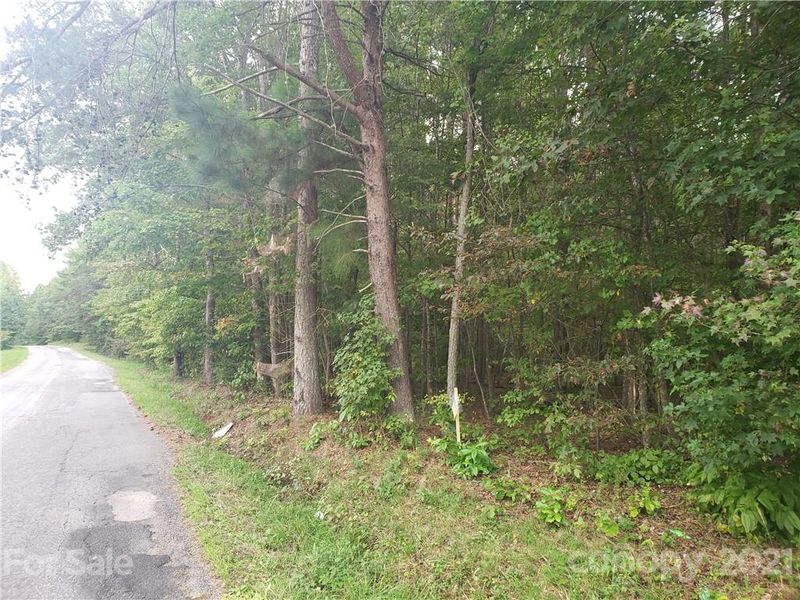 00 Mosley Rd #7, Blacksburg, SC 29702