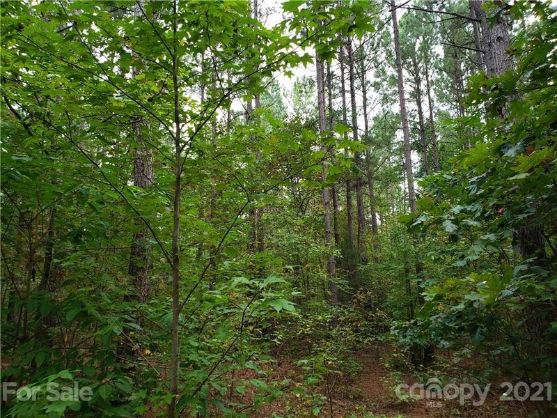 00 Mosley Rd #9, Blacksburg, SC 29702