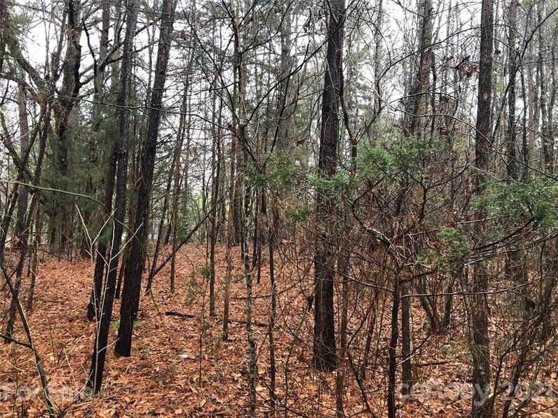 10 Ac Great Falls Hw, Great Falls, SC 29055