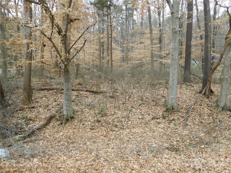 596 R L Stowe Rd, Belmont, NC 28012