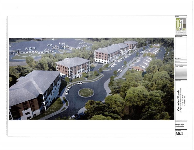21024 Cornelia Grove Way #301, Cornelius, NC 28031