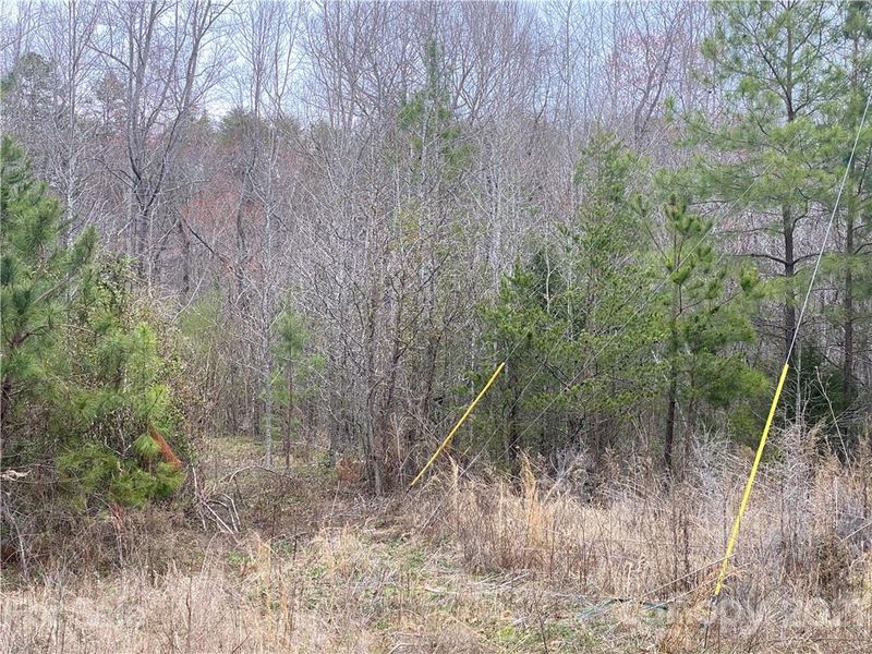 00 Pinto Ln, Gastonia, NC 28052
