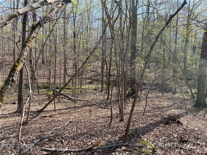 10555 Mt Olive Estates Rd, Mount Pleasant, NC 28124