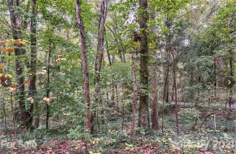 000 Trafalgar Pl #158, Matthews, NC 28105