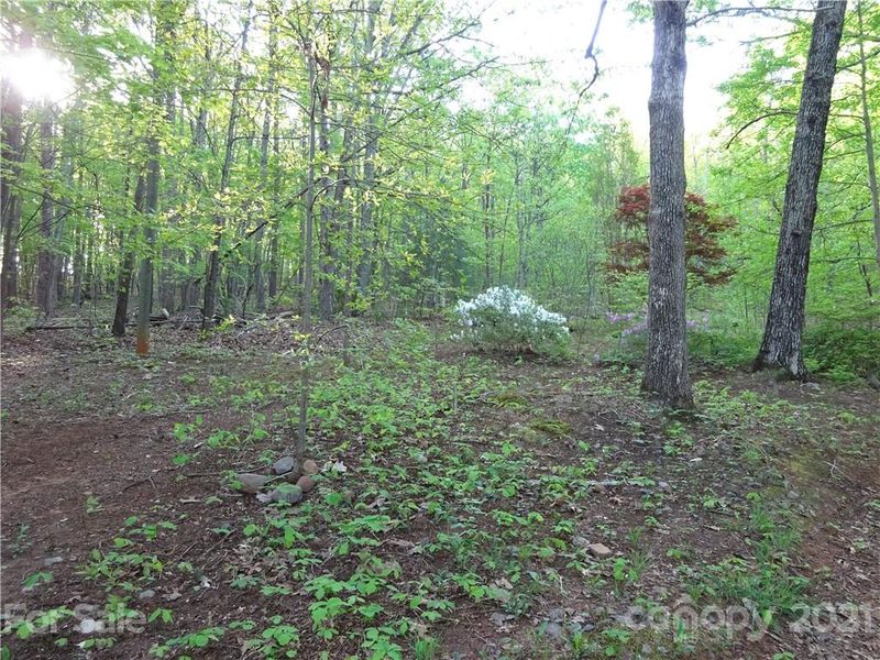 6439 Boulder Dr, York, SC 29745