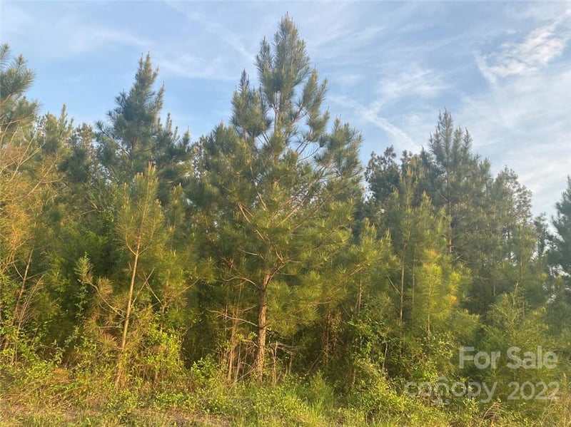 523 Eubanks Rd, Monroe, NC 28112