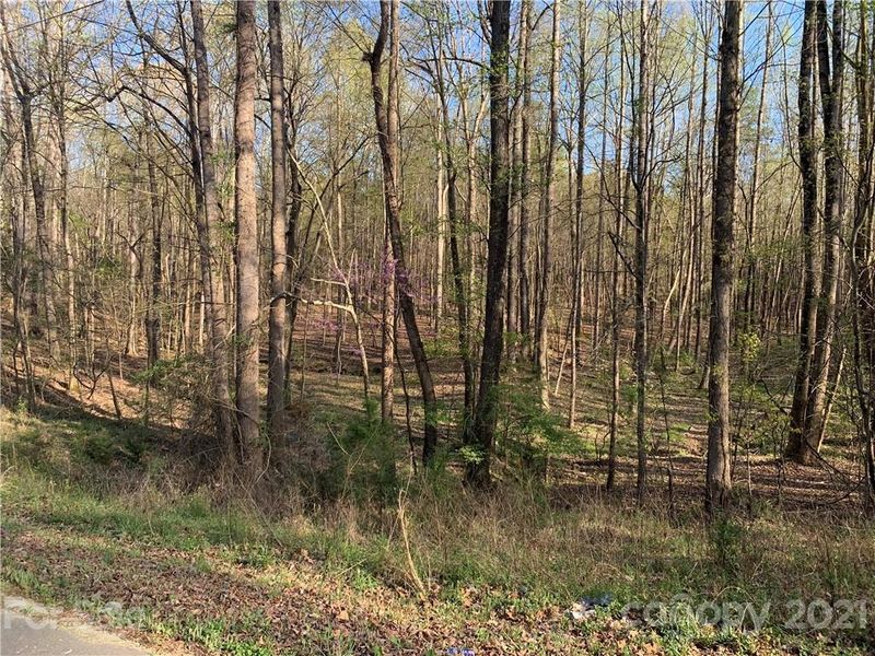 0 Eutaw Dr #41, Waxhaw, NC 28173