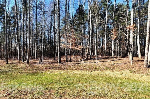 6507 Half Halt Ave #55, Mint Hill, NC 28227