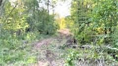 tract 3 Darby Rd, Chester, SC 29706