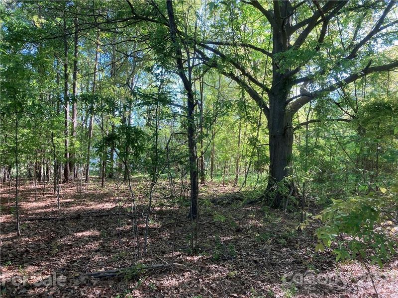 6155 Hopewell Rd, Hickory Grove, SC 29717