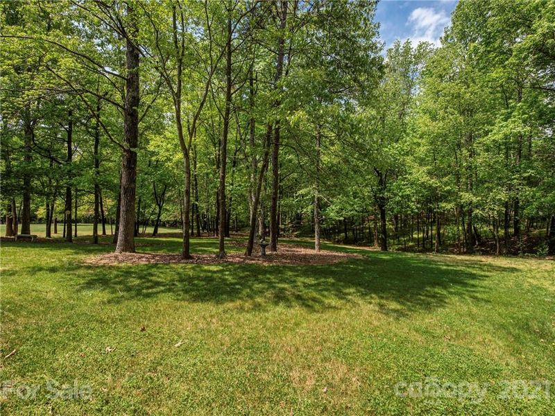 10400 Andiron Dr, Matthews, NC 28105
