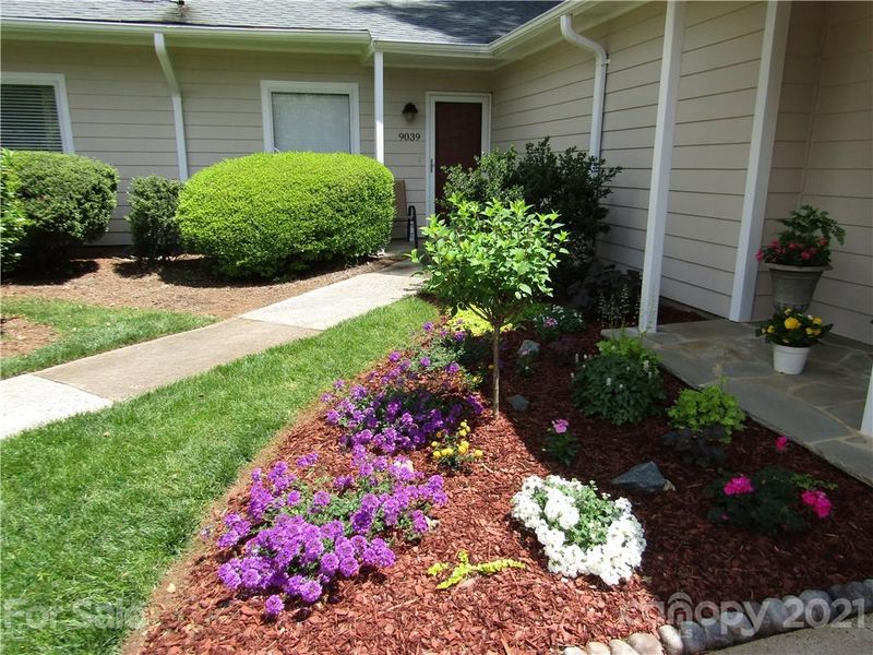 9039 Mcalpine Cove Ct, Charlotte, NC 28270