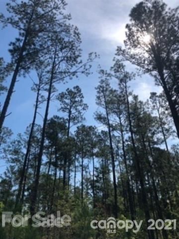 10.621 AC Westbrook Rd #7, Edgemoor, SC 29712