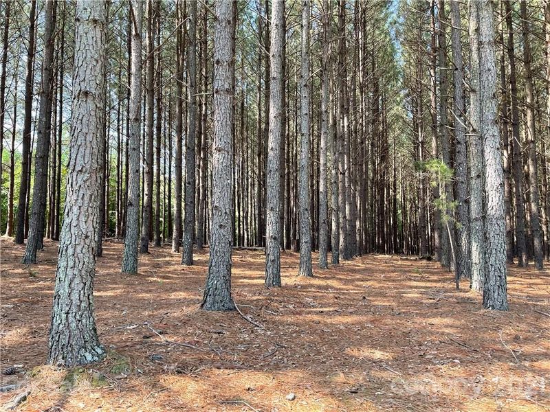 800 Myrtle Davis Dr, Waxhaw, NC 28173