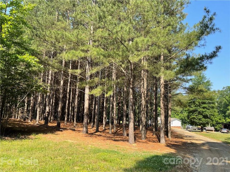 800 Myrtle Davis Dr, Waxhaw, NC 28173