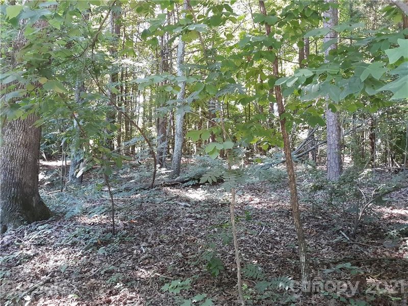 6536 Bucleigh Rd E, Clover, SC 29710