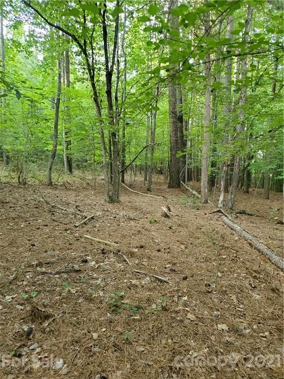 0 Cornett Dr #43, Iron Station, NC 28080
