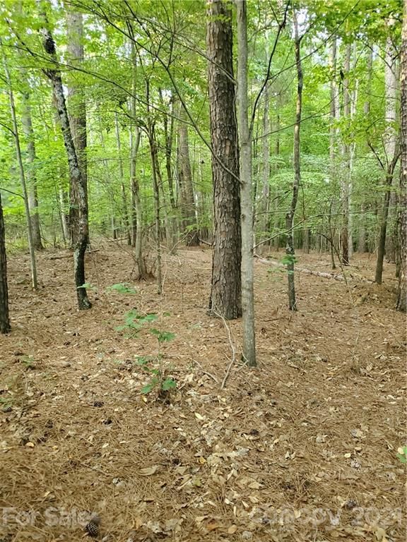 0 Cornett Dr #43, Iron Station, NC 28080