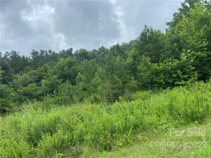 0000 E Radcliff Rd, Mount Pleasant, NC 28025