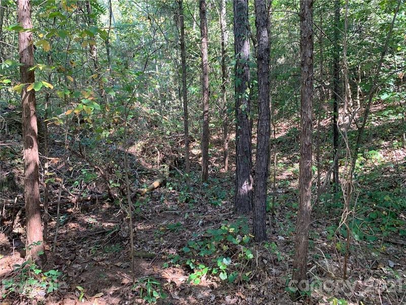 5026 Woodwinds Dr, Hickory, NC 28601