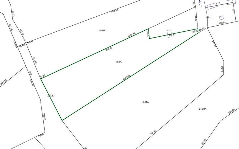 1029 Quail Ct, Newton, NC 28658