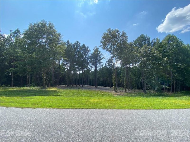 274 Gardner Point Dr, Stony Point, NC 28678