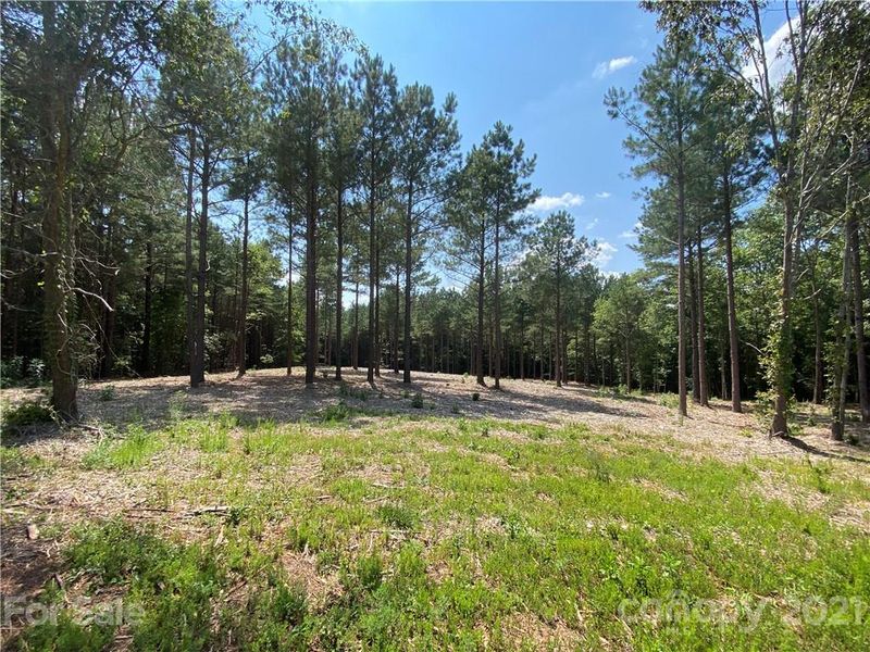 274 Gardner Point Dr, Stony Point, NC 28678