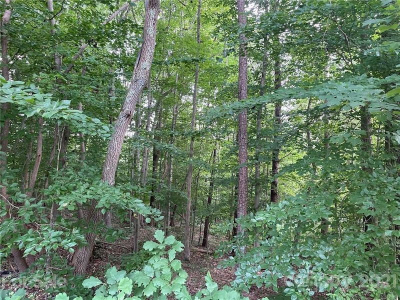 175 Levo Dr #13, Troutman, NC 28166