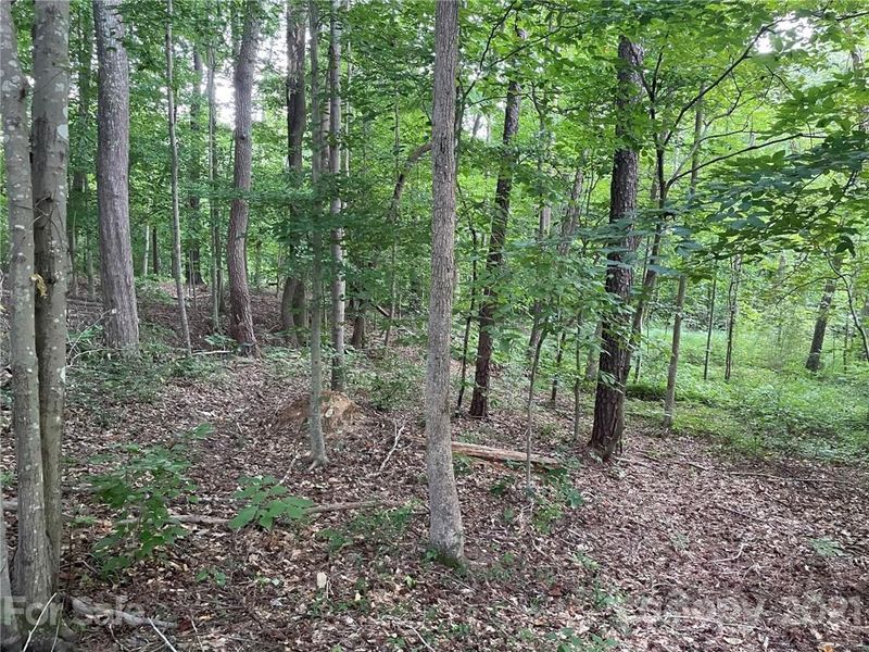 175 Levo Dr #13, Troutman, NC 28166